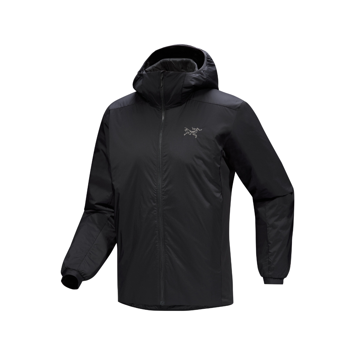 Arcteryx Mens Atom Hoody Zwart