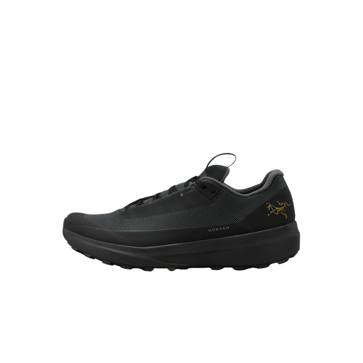 Arcteryx Mens Norvan Ld 4 Gtxen Zwart