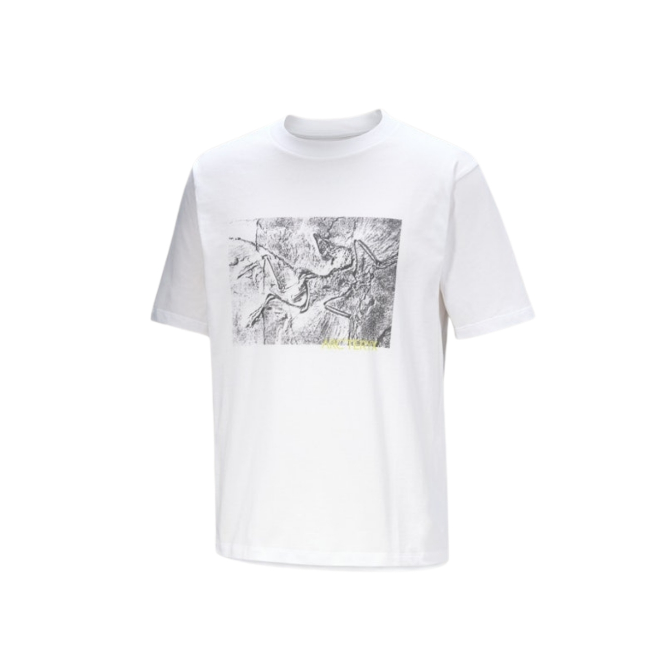 ArcTeryx Mens Kragg Cotton Lithographica SS Wit