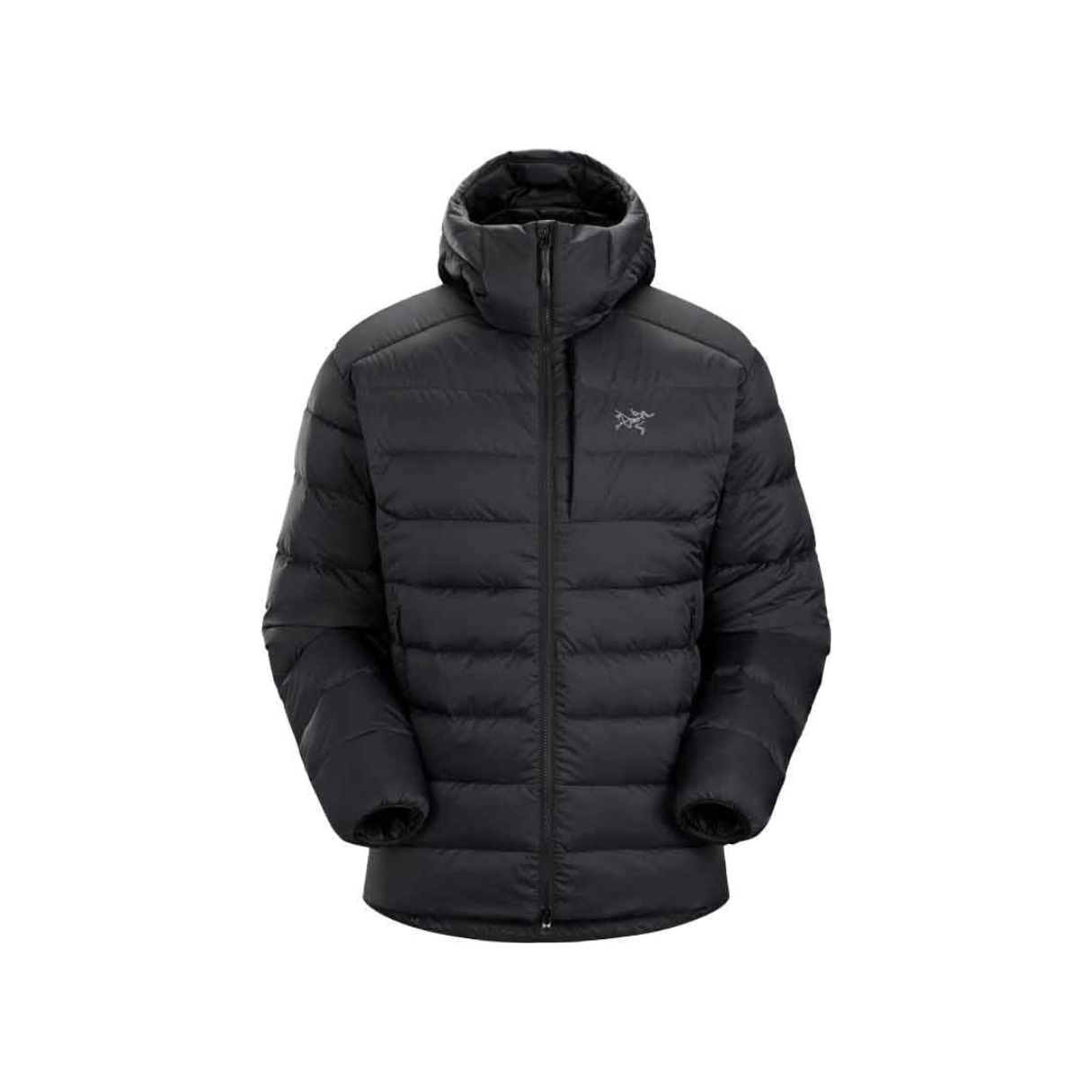 Arcteryx Mens Thorium Hoody Zwart