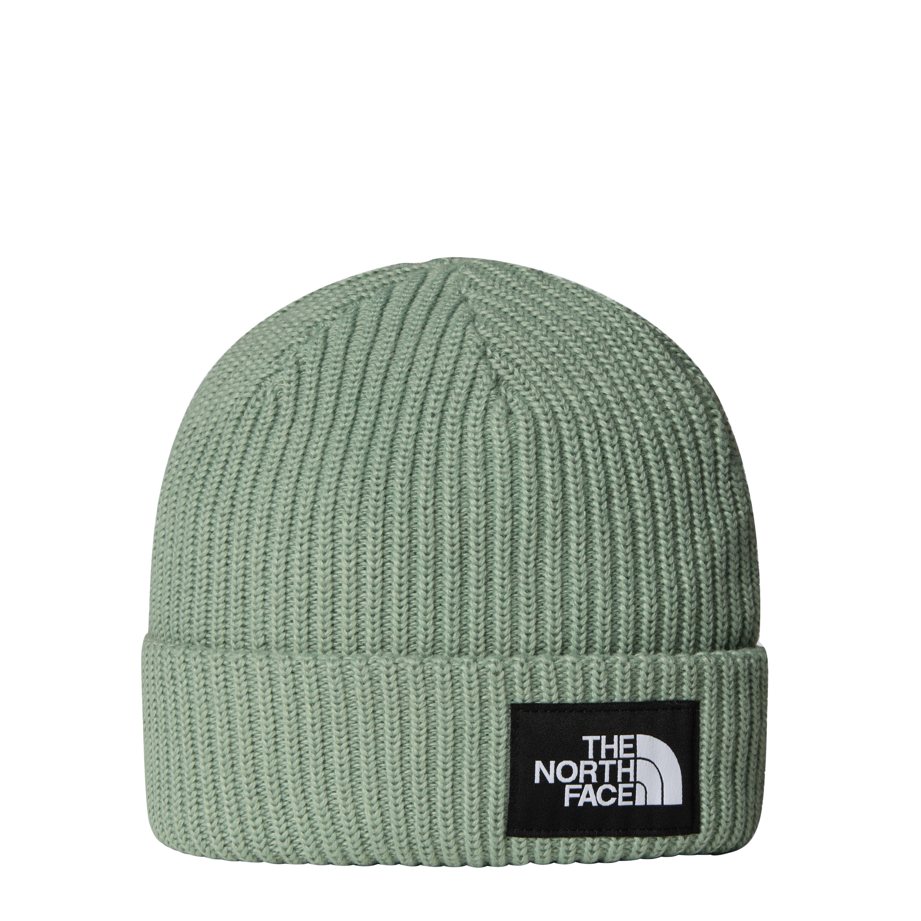 The North Face Kids Salty Lined Beanie Vert | Bq1 Slate Moss