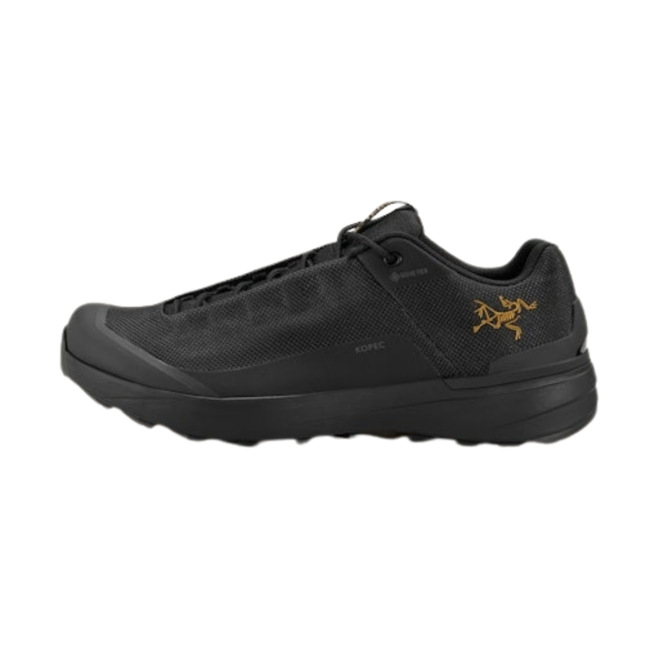 ArcTeryx Mens Kopec GTX Zwart