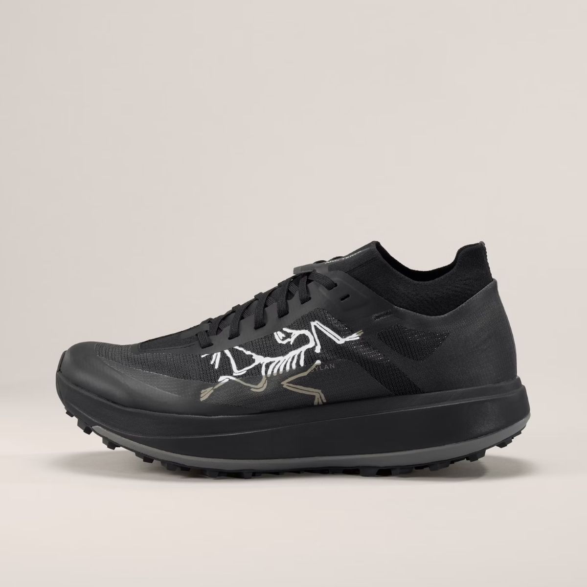 Arcteryx Mens Sylan Pro Zwart